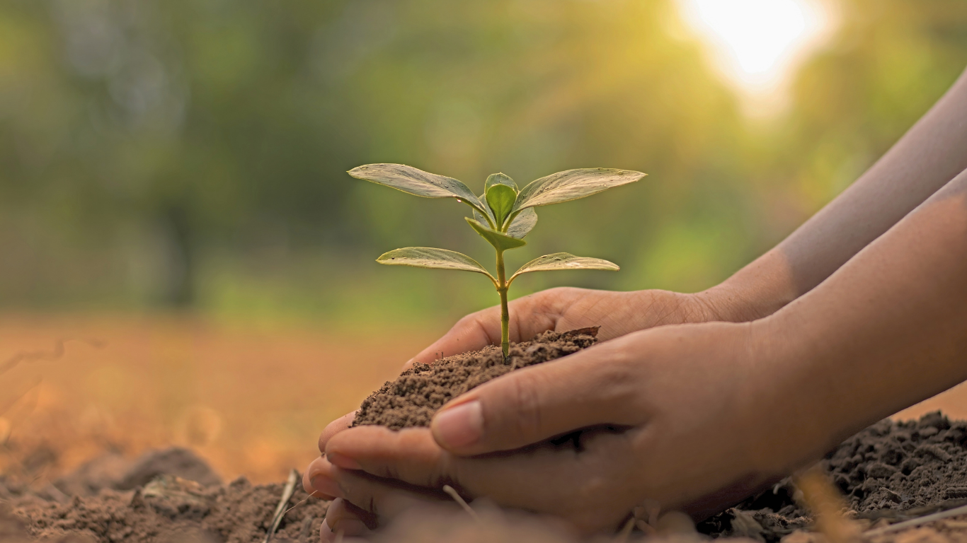 Environmental Remediation